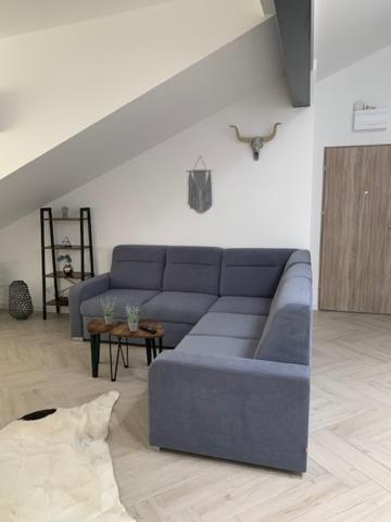 Studio Loft Appartement Suwałki Buitenkant foto